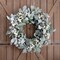 18 Inch Lambs Ear Wreath Spring and Everyday Lambs Leaves White Berries Wreath for Front Door